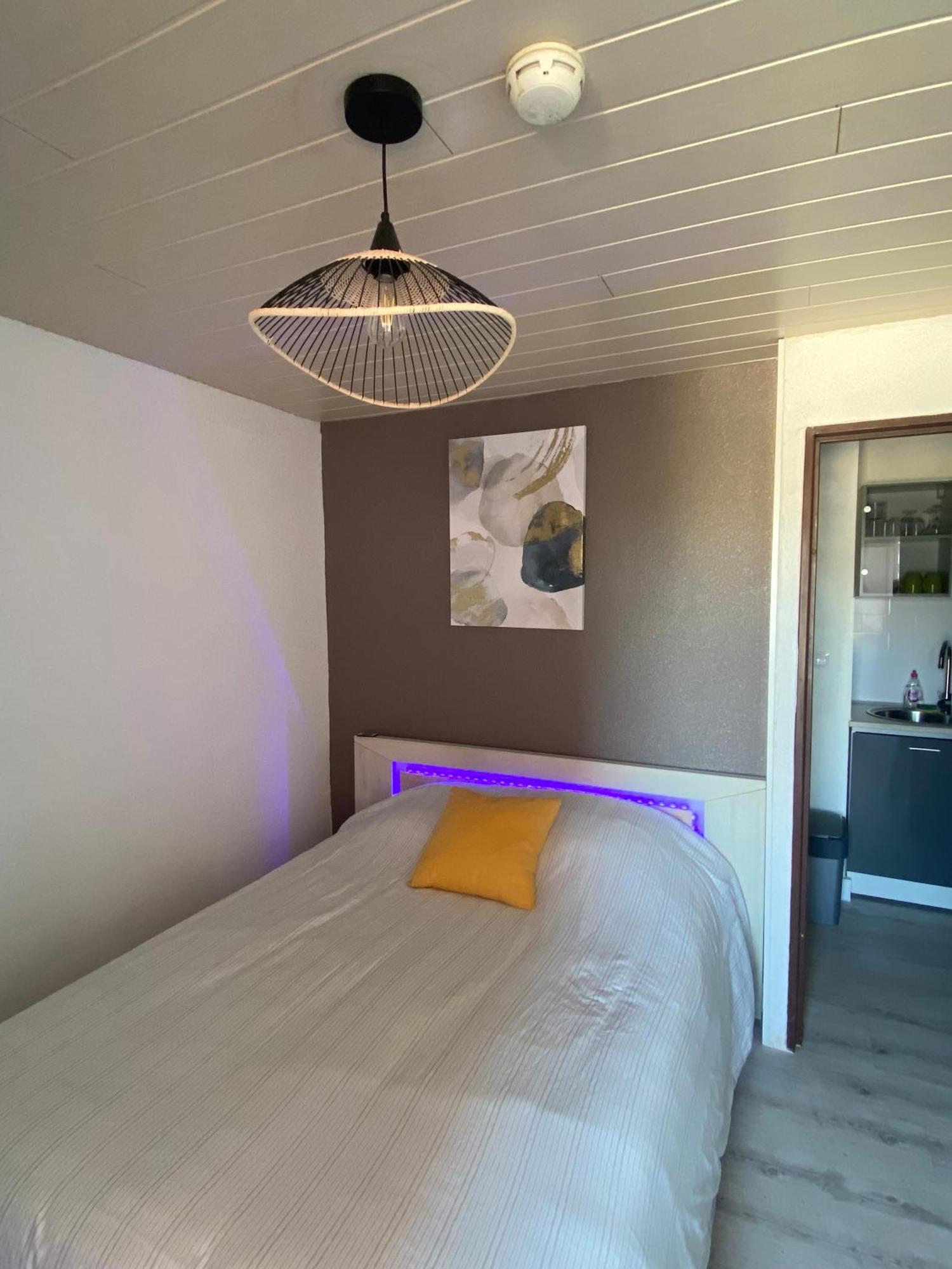 Studio Centre Port Avec Piscine Residence Port Richelieu Agde Eksteriør billede